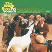 The Beach Boys - Pet Sounds  artwork