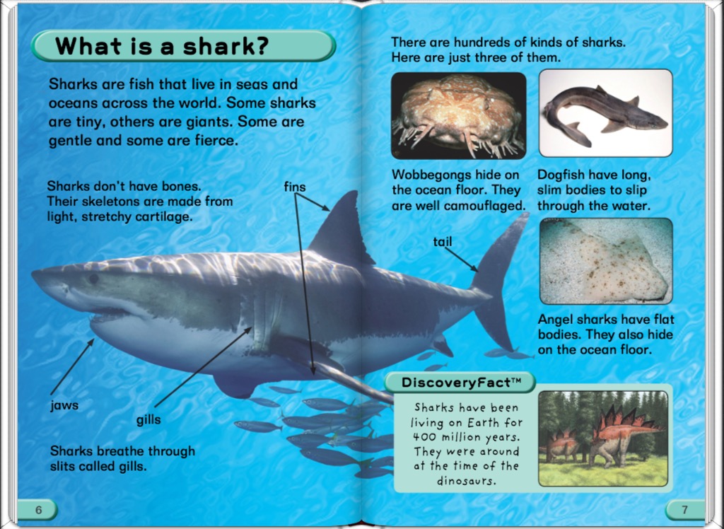fish discover sharks shark books kids fish discover sharks shark books kids