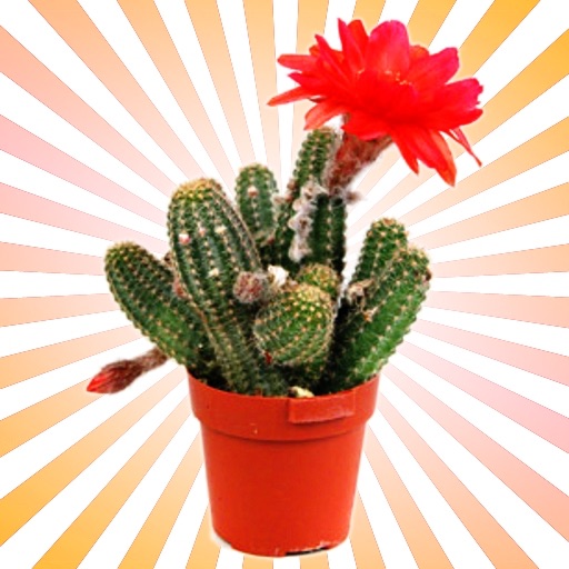 Cactus Plant Encyclopedia