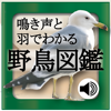 NAISG Ltd. - 鳴き声と羽でわかる野鳥図鑑 アートワーク