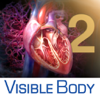 3D Heart & Circulatory Premium 2 (3Dハート＆循環プレミアム2) - Visible Body