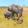 Elephant Survival Sim...
