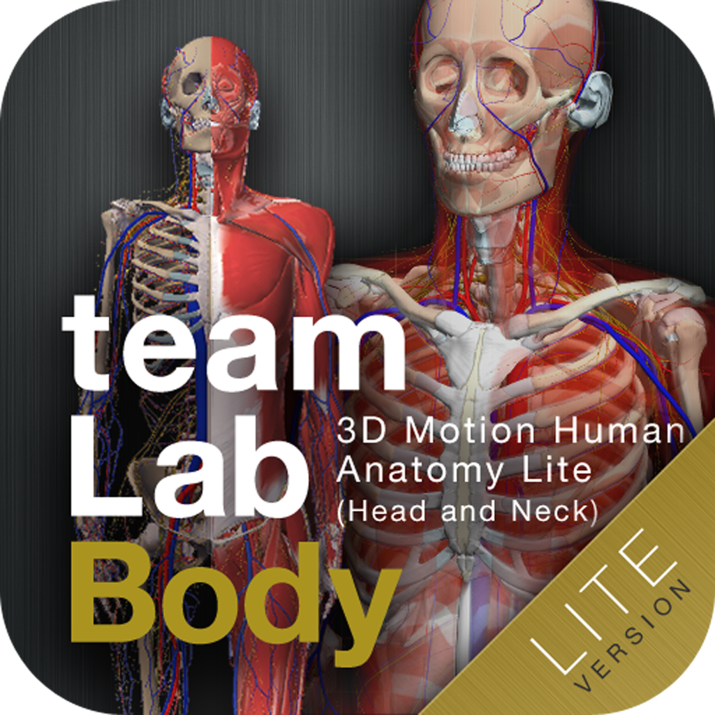 teamLabBody -3D Motion Human Anatomy Lite (Head and Neck)-