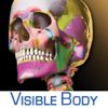 Skeleton Premium - Visible Body