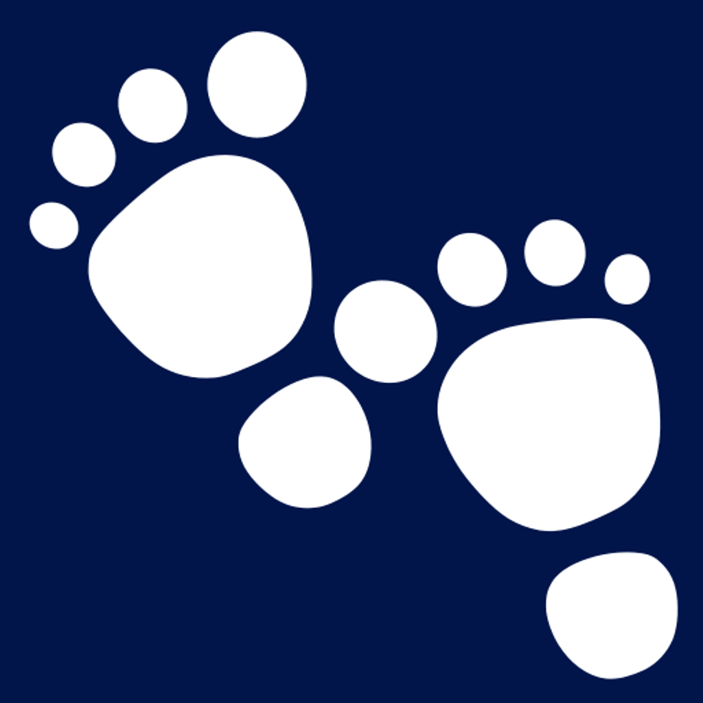 no app image