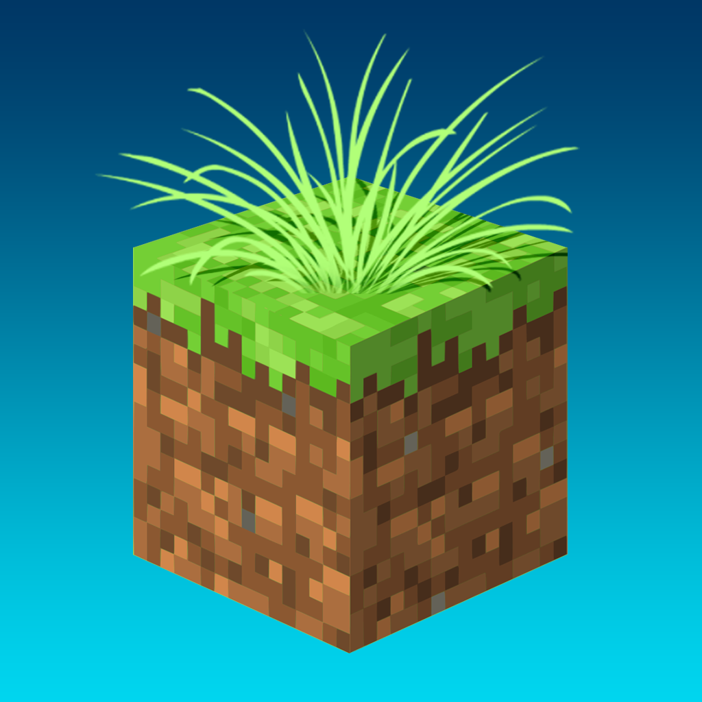 no app image