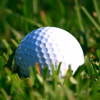 JoesApps - Golf Handicap Calculator - For A Golfer HCP Index アートワーク