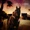 Dani California