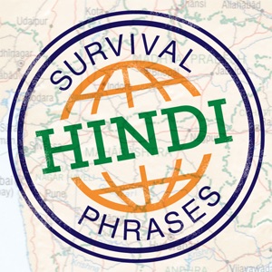 Lesson #15 - Restaurants - Asking for the Check in Hindi
