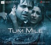 Tum Mile - Love Reprise