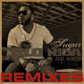 Sugar Remixes (feat. Wynter)