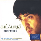 Godfather (Original Motion Picture Soundtrack)