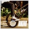Biking (feat. JAY Z & Tyler, the Creator) - Single