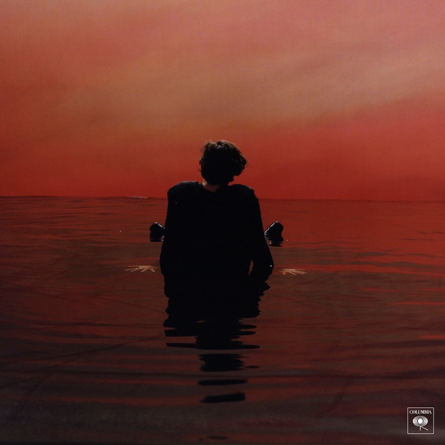 Sign of the Times - Single Album Cover