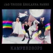 ℗ 2017 Kamferdrops2017