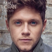 Slow Hands-Niall Horan