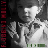 Flogging Molly - Life Is Good  artwork