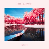Zedd & Liam Payne - Get Low  artwork