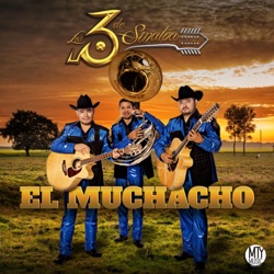 Los 3 De Sinaloa - El Muchacho