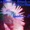 The Spoils (feat. Hope Sandoval)