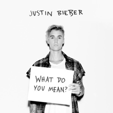 What Do You Mean? artwork