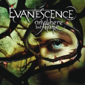 Anywhere But Home (Live From Le Zénith, France/2004)