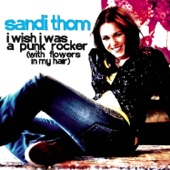 I Wish I Was a Punk Rocker (with Flowers in My Hair) - Single