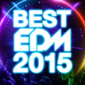 Various Artists - BEST EDM 2015 アートワーク