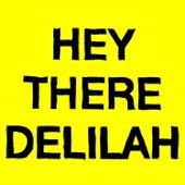 Hey There Delilah - EP
