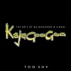 Too Shy: The Best of Kajagoogoo & Limahl