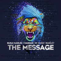 Bunji Garlin - The Message ft. Damian Marley