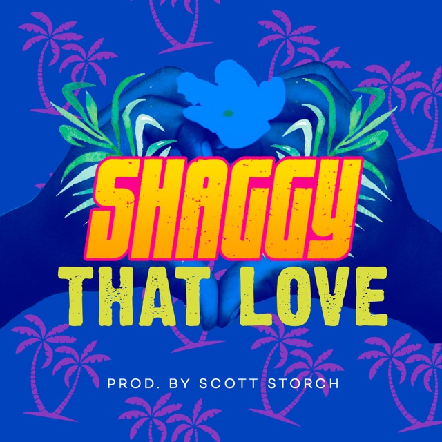 Shaggy - That Love