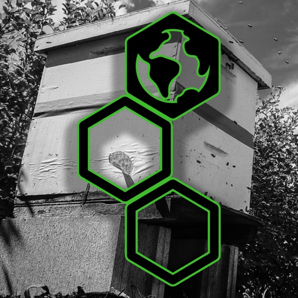 Eco Not Ego International - The Official Podcast cover