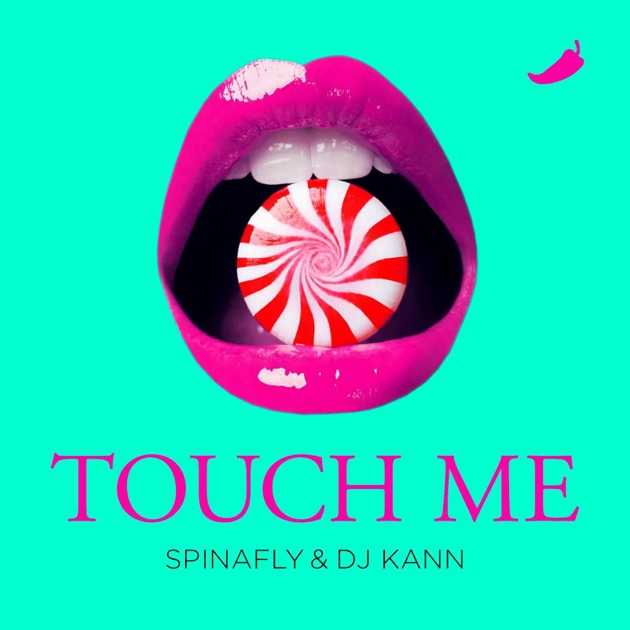 spinafly dj kann touch me скачать