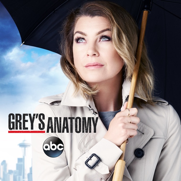 Greys Anatomy 12. Staffel