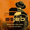 What Do You Love (feat. Jacob Banks)