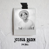 Joshua Radin - The Fall  artwork