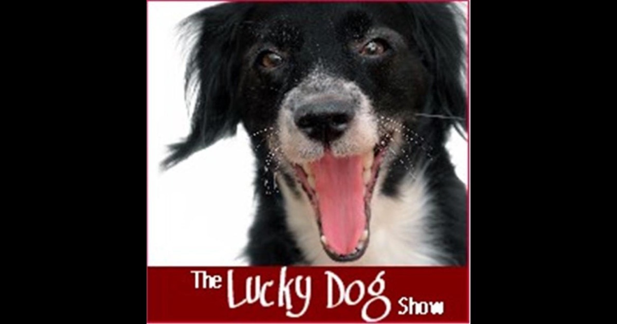 Lucky Dog Show Fun Unleashed by The Lucky Dog Show on iTunes
