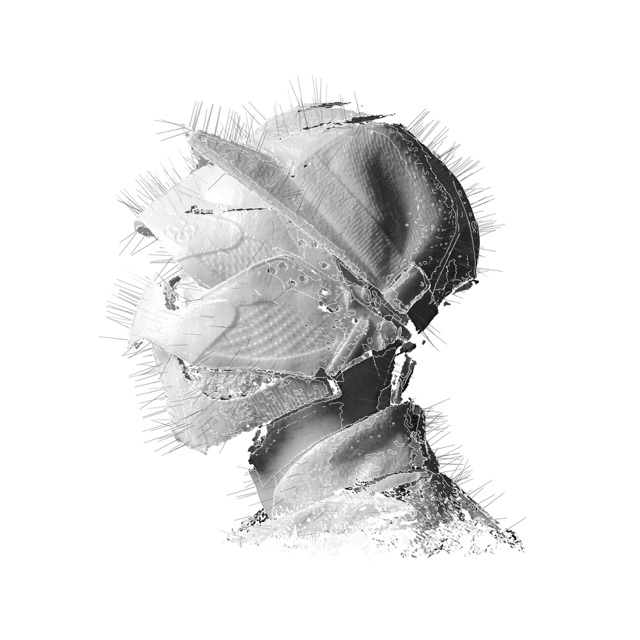 Woodkid The Golden Age Album Cover