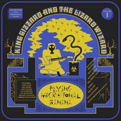 King Gizzard and the Lizard Wizard  Flying Microtonal Banana