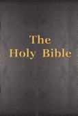 The World English Bible (WEB) - The Holy Bible artwork