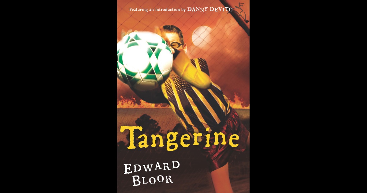 theme of tangerine by edward bloor