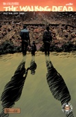 Robert Kirkman, Charlie Adlard & Stefano Gaudiano - The Walking Dead #164 artwork