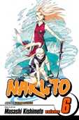Masashi Kishimoto - Naruto, Vol. 6 artwork