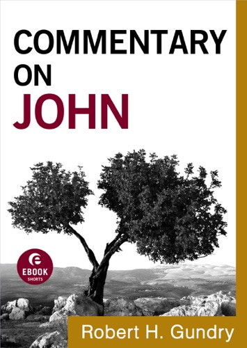 Commentary on John Commentary on the New Testament Book 4