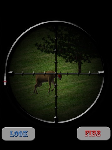 iPad Screenshot 1