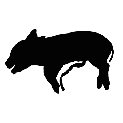 Top iPhone apps on sale