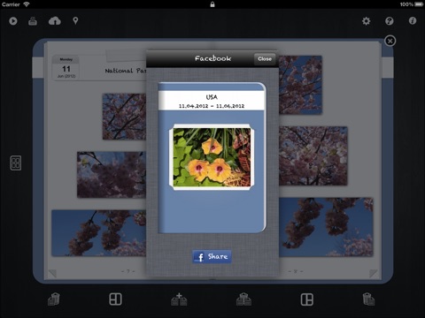 iPad Screenshot 5