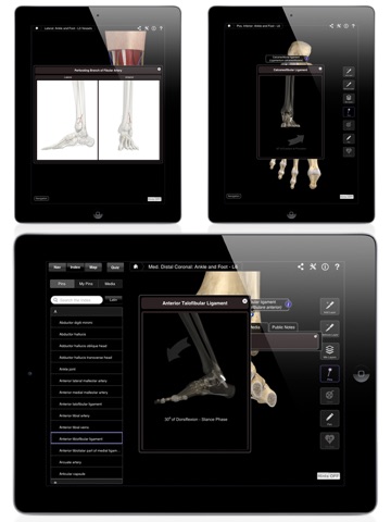 iPad Screenshot 5