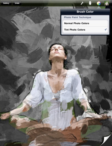 iPad Screenshot 5